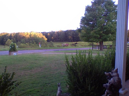 view from my front porch