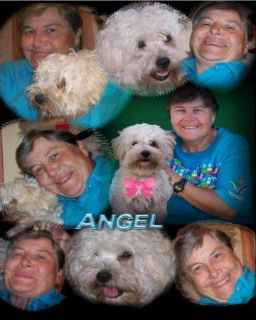 Me and Angel 2009