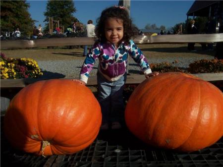 Layla and Pumpkins