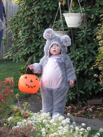 The cutest Halloween Mouse
