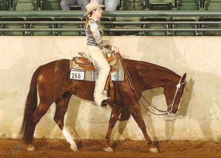 Sugar and Me, Dixie Nationals, February 2008