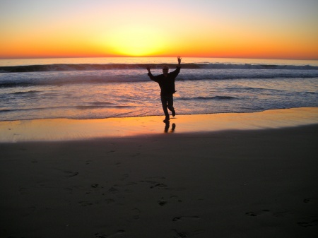 Santa Monica beach 2011