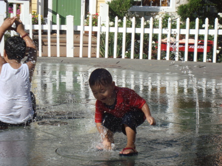 Victoric Gardens Sept 2008