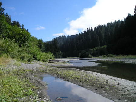 Redwood River