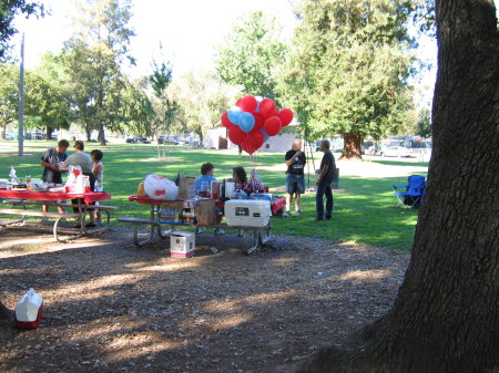 Balloons with MLHS Colors Marked the Spot!