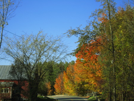 leaf peeping 028