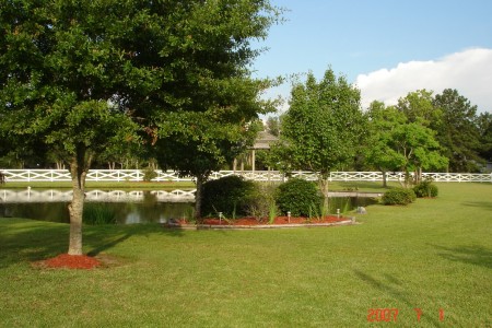 A View from the Front Porch