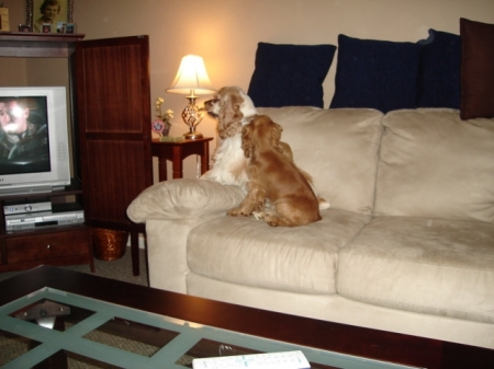 Bruce & Ruby watching TV