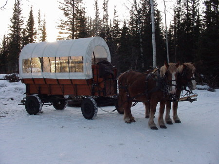 horse carriage