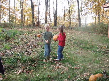 The kids finding their pumpkins