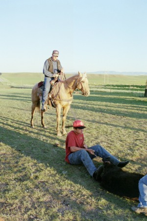 Montana Branding