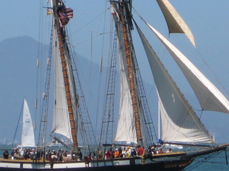 Sail Boat Festival