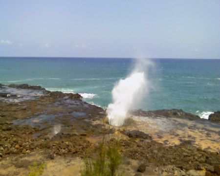 Spouting Horn