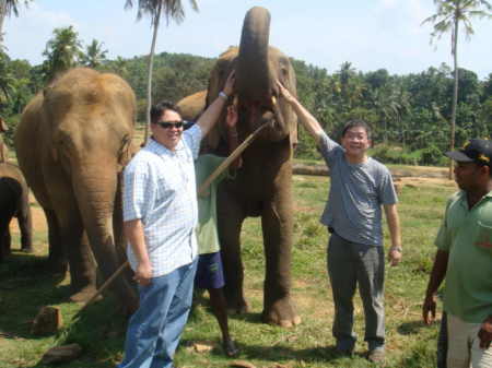 Chillin' with an elephant, Sri Lanka 2008