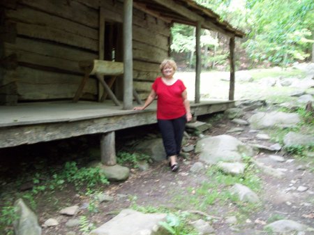 Smoky Mt. National Park Tn.