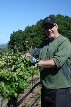 Vineyard work in Napa