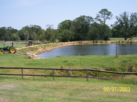 The pond before renovation