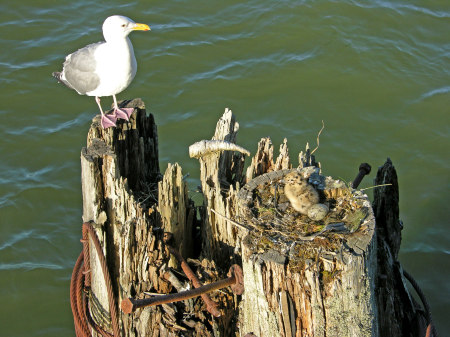 Spring is in the air on the coast!