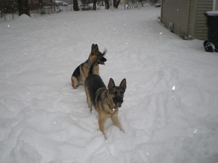 hailie and derrik having fun in the snow