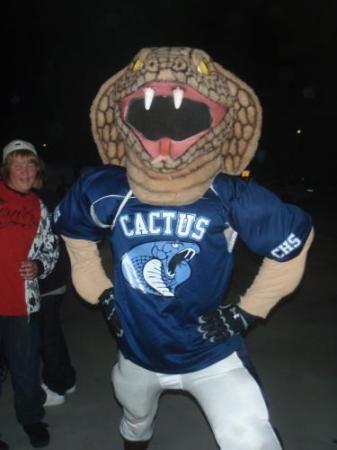 hc mascott 08