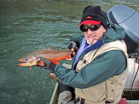 Spawning Artic Char in Alaska