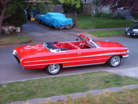 Old Red Back in front of the house, 2008