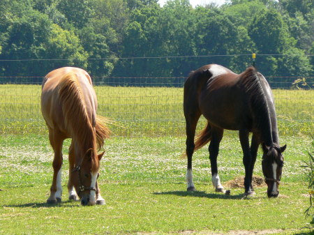 The Girls, Apache and Cheyenne