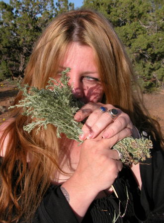 We have 40 acres of Desert Sage!