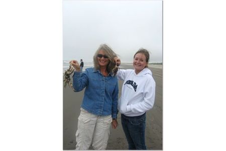 crabs070208.