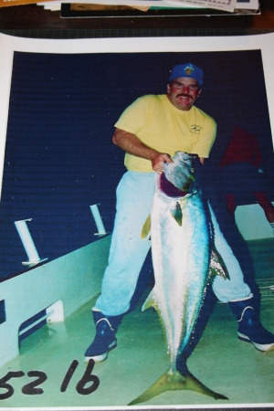 Huge California Yellowtail