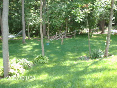 My back yard (can you see the little fawn?)