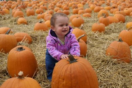 Miley and the Pumpkin