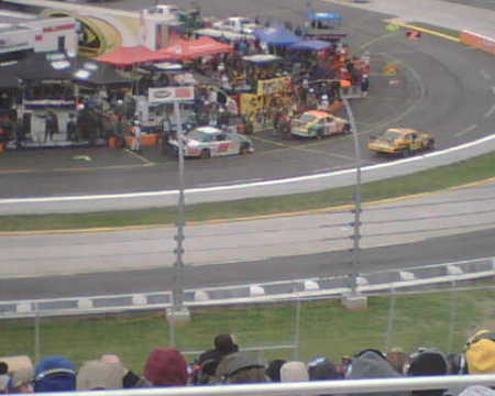 Dale jr at Martinsville Speedway