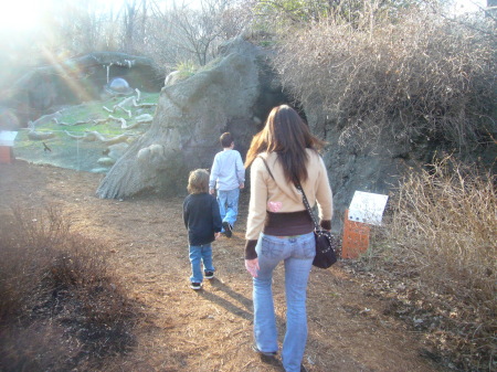 exploring the dc zoo