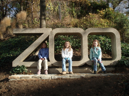 National Zoo Nov 2008