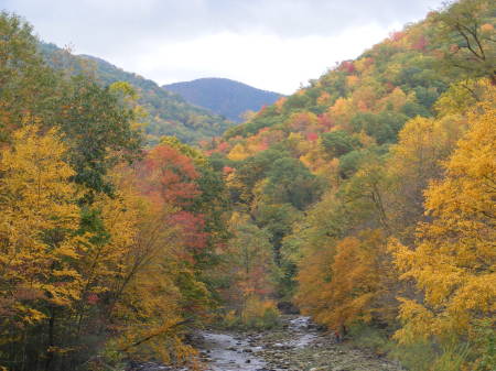 Happy Fall Y'all!