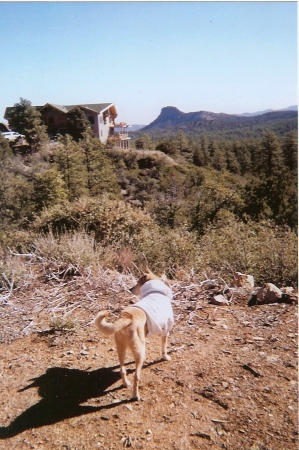 Bud at the house in Prescott.