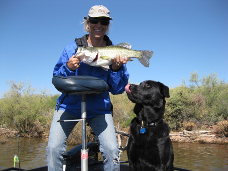 Big Fish at Roosevelt Lake, Arizona