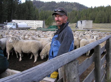 Summers mean sheepcamp in ID
