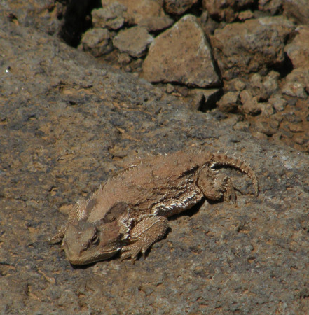 Sedona Hike 2008