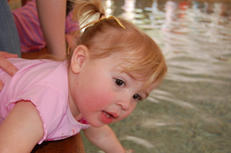 Playing with the Stingrays at Jax Zoo