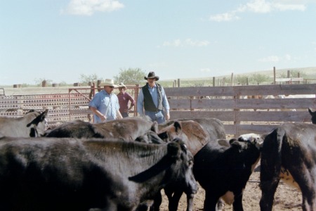 (NA Ranch Animas, New Mexico