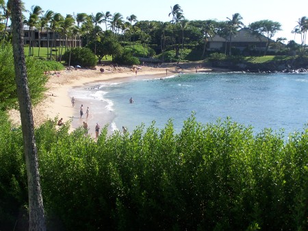 great snorkling on at this beach!!