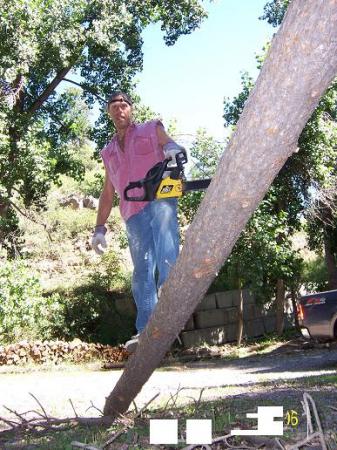 lumberjack