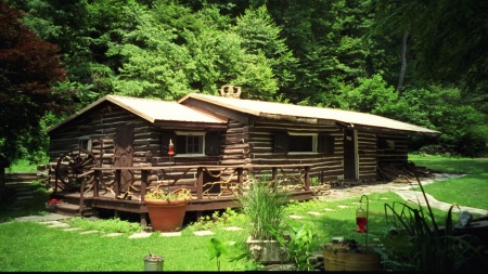 Our cabin in the woods