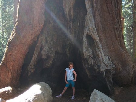 My daughter by a redwood tree