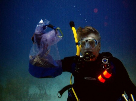 Lionfish survey, Nassau, Bahamas, 5/08