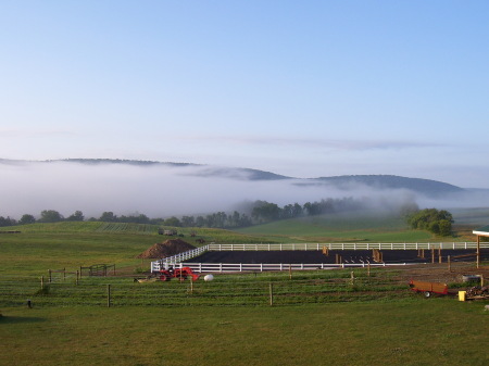 Riding ring in the morning fog