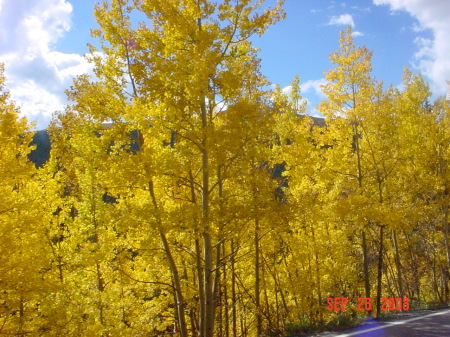 fall 2008 - Squaw Pass, CO