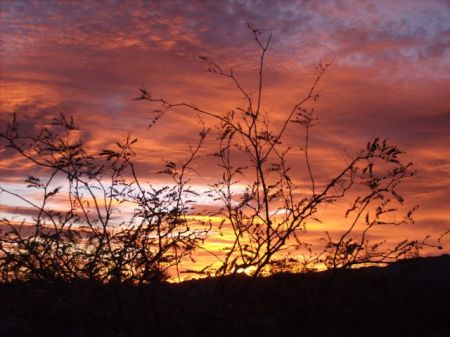Arizona Sunset 2